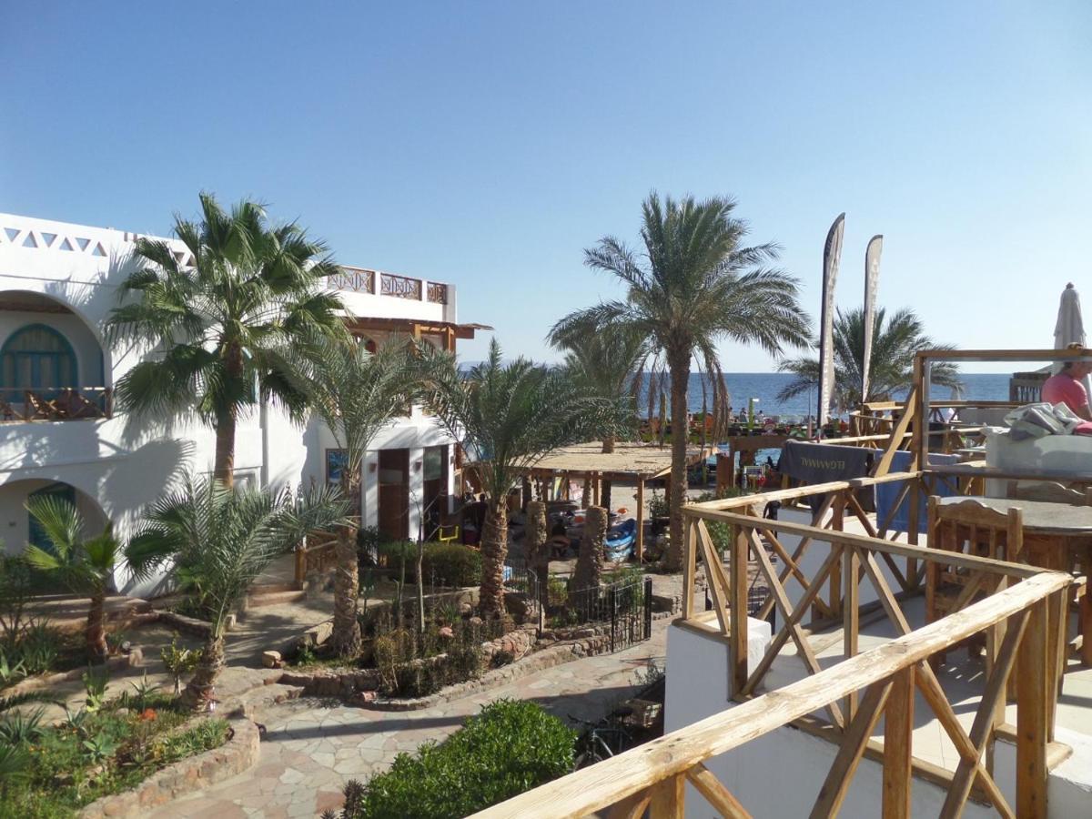 Red Sea Relax Hotel Дахаб Екстер'єр фото
